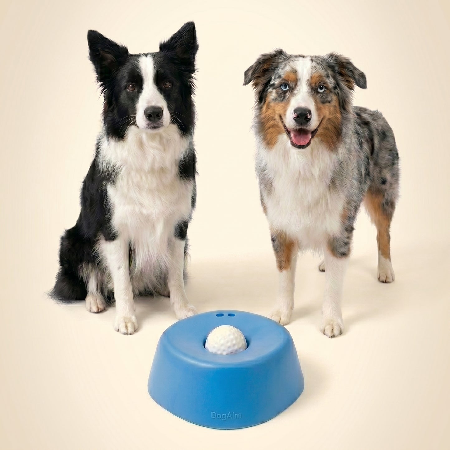 FreskiPaws Bowl